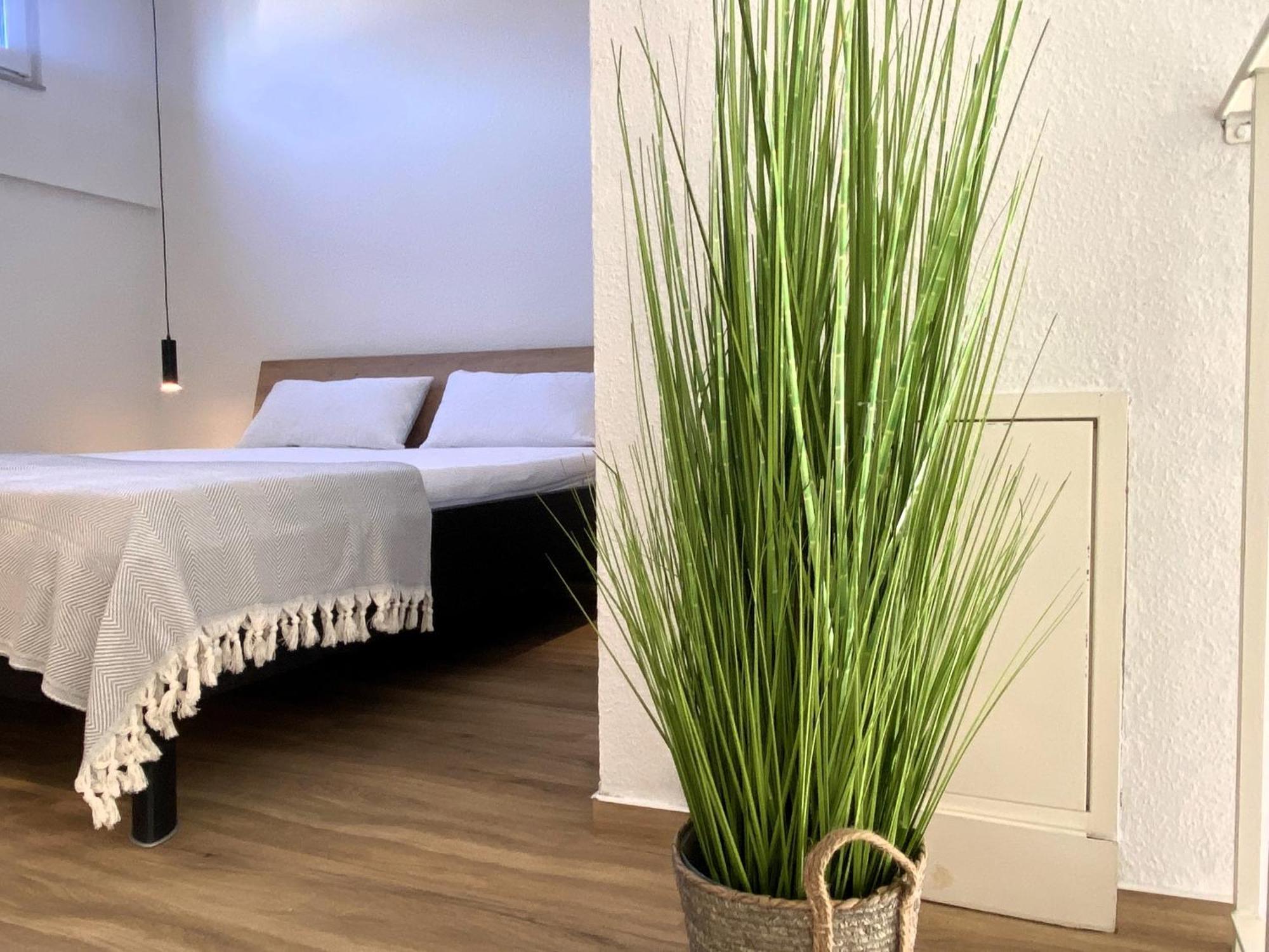 Karls Apartment B14 Γκέρα Εξωτερικό φωτογραφία